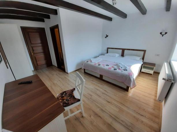 Imagen de la habitación del Hotel AristoCat Hotels Rasnov. Foto 2