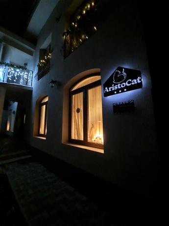 Imagen de los exteriores del Hotel AristoCat Hotels Rasnov. Foto 5