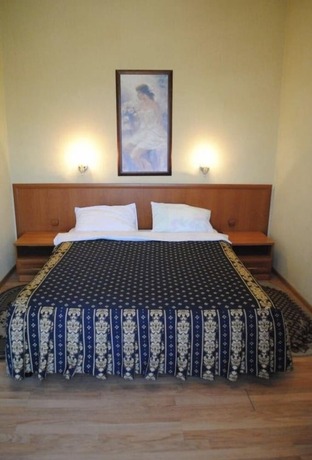 Imagen de la habitación del Hotel Aristokrat. Foto 14