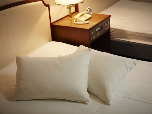 Imagen de la habitación del Hotel Ariston Kobe. Foto 4