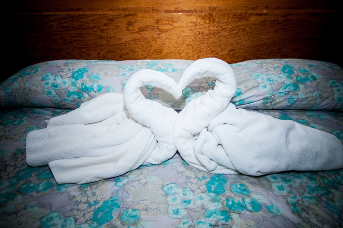 Imagen de la habitación del Hotel Aristos Cuernavaca. Foto 4