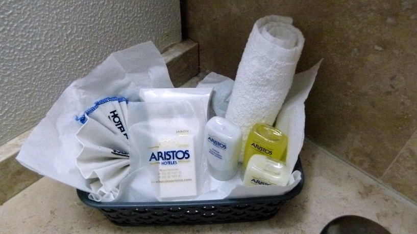 Imagen de la habitación del Hotel Aristos Express Cdmx. Foto 13