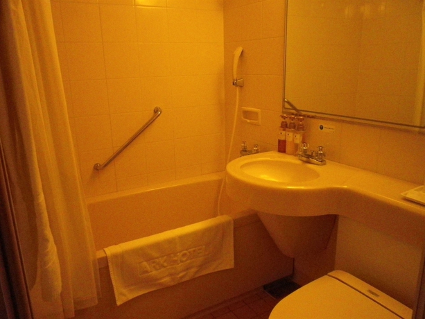 Imagen de la habitación del Hotel Ark Royal Fukuoka Tenjin. Foto 4