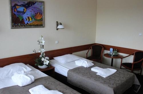 Imagen de la habitación del Hotel Arka Medical Spa. Foto 6