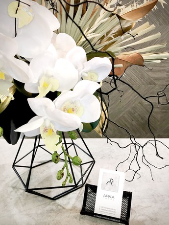 Imagen de los interiores del Hotel Arka, Ussuriysk. Foto 15