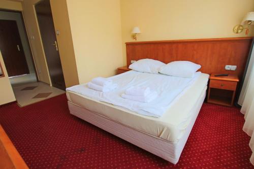 Imagen de la habitación del Hotel Arkadia, Kielce. Foto 17