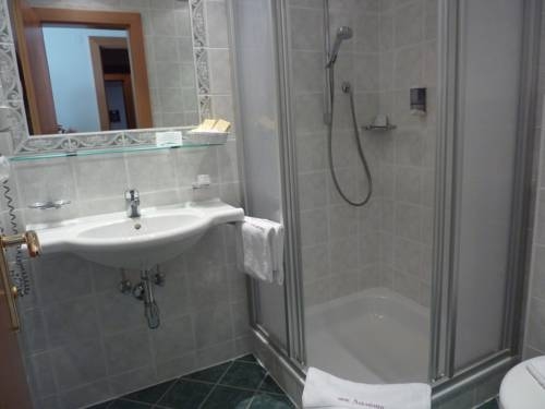 Imagen general del Hotel Arlen Lodge. Foto 10
