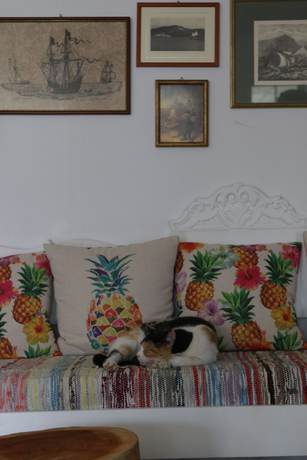 Imagen de los interiores del Hotel Armadoros Ios Backpackers. Foto 17