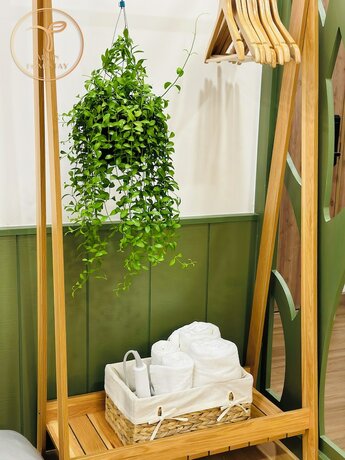 Imagen general del Hotel Armin Homestay Ecopark. Foto 8
