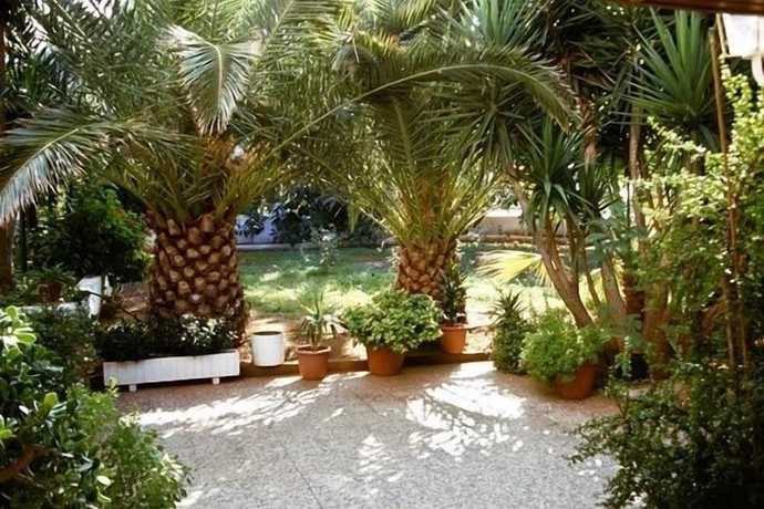 Imagen de los exteriores del Hotel Armonia, Creta. Foto 11