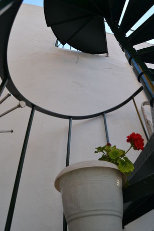 Imagen de los exteriores del Hotel Armonia, Edipsos. Foto 13