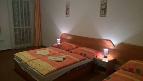 Imagen de la habitación del Hotel Arnika. Foto 4