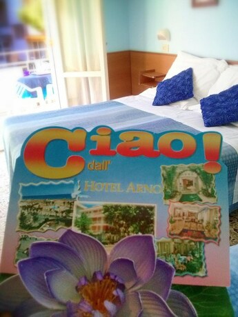 Imagen general del Hotel Arno, Misano Adriatico. Foto 7