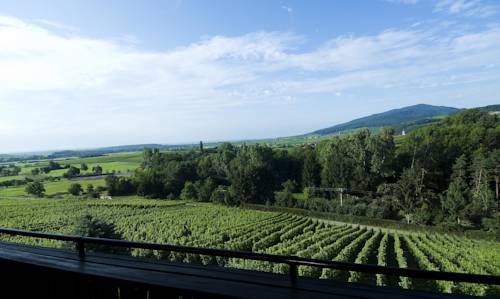 Imagen de los exteriores del Hotel Arnold. Foto 16