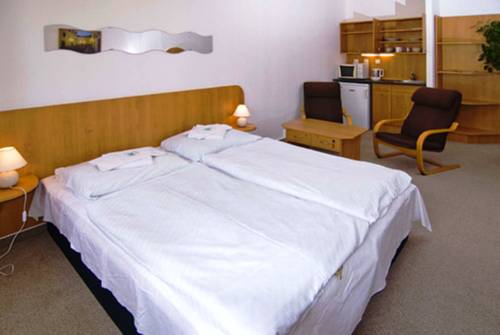 Imagen de la habitación del Hotel Arnost. Foto 2