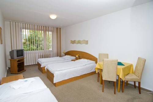 Imagen de la habitación del Hotel Arnost. Foto 6