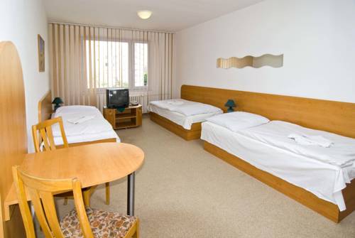 Imagen de la habitación del Hotel Arnost. Foto 8