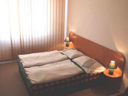 Imagen de la habitación del Hotel Arnost. Foto 16