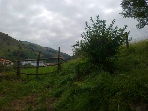 Imagen general del Hotel Arocena. Foto 12