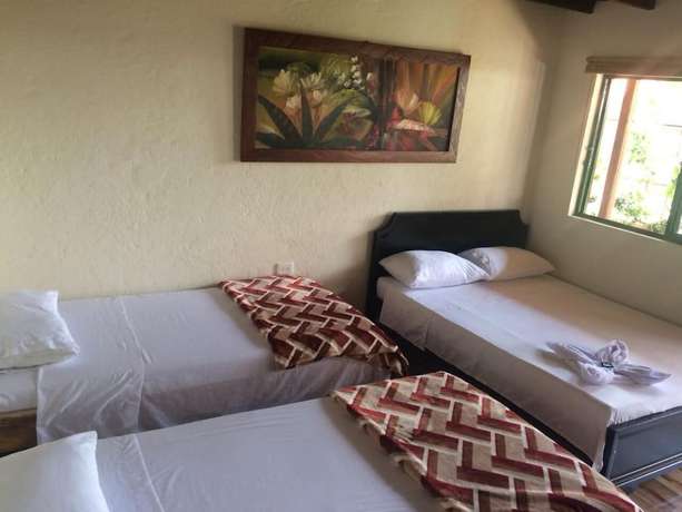 Imagen de la habitación del Hotel Aroma Cafetera. Foto 8