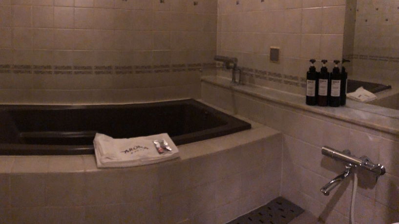 Imagen de la habitación del Hotel Aroma Garu Omori - Adults Only. Foto 12