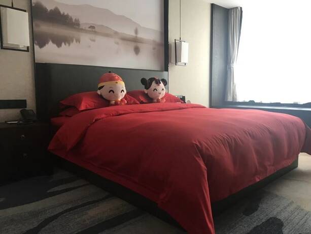 Imagen de la habitación del Hotel Aroma Hotel. Foto 13