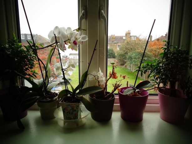 Imagen de los interiores del Hotel Aron Guest House. Foto 19