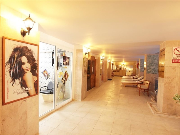 Imagen general del Hotel Arora. Foto 13