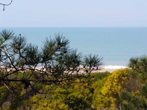 Imagen general del Hotel Arraial Hotel. Foto 11