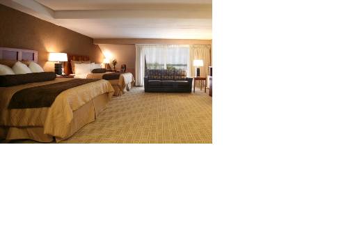 Imagen de la habitación del Hotel Arrowwood Resort and Conference Center. Foto 11