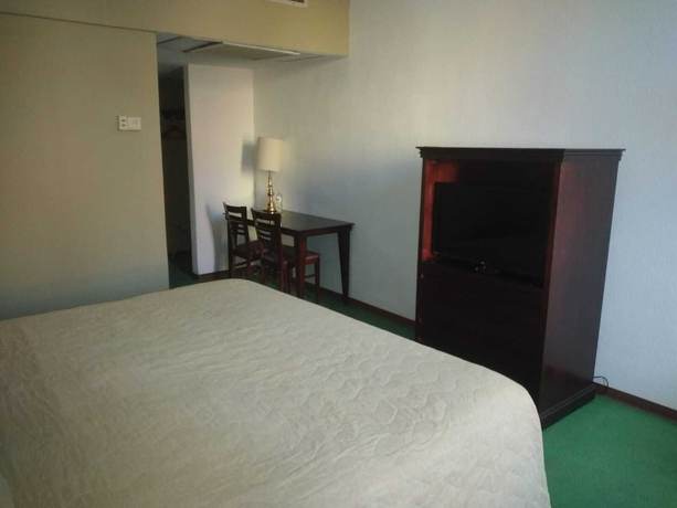 Imagen de la habitación del Hotel Arroyo Express. Foto 3