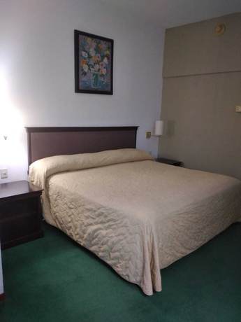 Imagen de la habitación del Hotel Arroyo Express. Foto 4