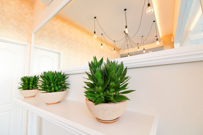 Imagen de los interiores del Hotel Art Cottage Boutique. Foto 11