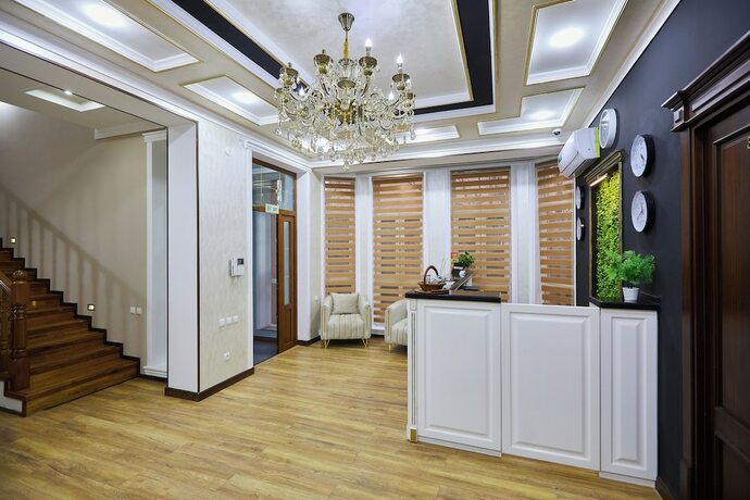 Imagen general del Hotel Art Elite hotel. Foto 12