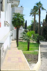 Imagen general del Hotel Art Hotel, Khosta. Foto 3