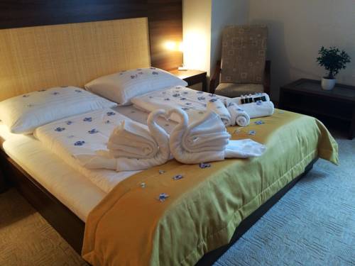 Imagen de la habitación del Hotel Art, Písek . Foto 12