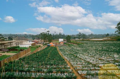 Imagen general del Hotel Artana Pangalengan by My Hospitality. Foto 12