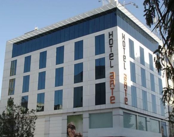 Imagen general del Hotel Arte, Sanliurfa. Foto 3