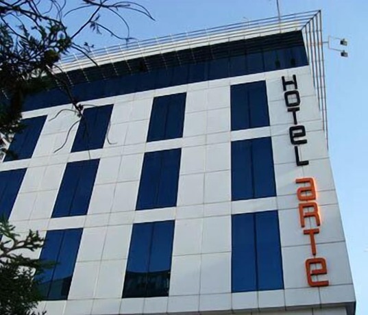 Imagen general del Hotel Arte, Sanliurfa. Foto 6