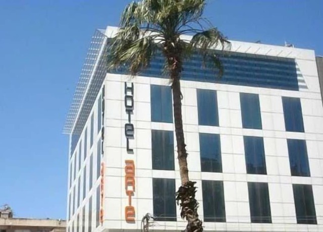 Imagen general del Hotel Arte, Sanliurfa. Foto 7
