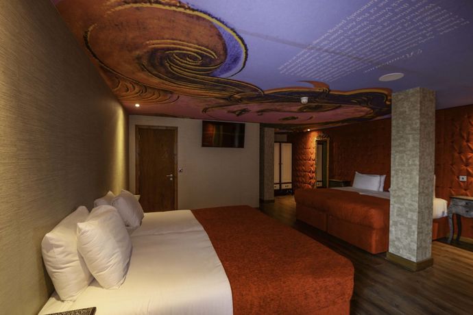 Imagen de la habitación del Hotel Arthouse. Foto 11
