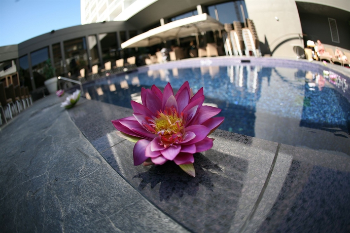 Imagen general del Hotel Arts, Calgary. Foto 1