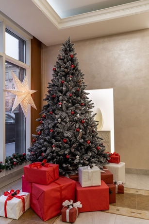 Imagen de los interiores del Hotel Artstudio Nevsky. Foto 17