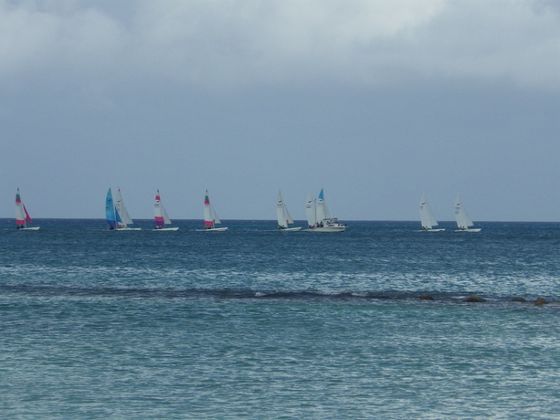 Imagen de los exteriores del Hotel Aruba Cunucu Residence. Foto 6