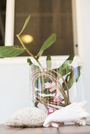 Imagen de la habitación del Hotel Aruba Palms Escape Suites. Foto 3