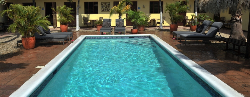 Imagen de la piscina del Hotel Arubiana Inn. Foto 14