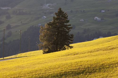 Imagen de la habitación del Hotel Arvenb&uuml;el. Foto 11