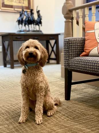 Imagen de los interiores del Hotel Arvon. Foto 14