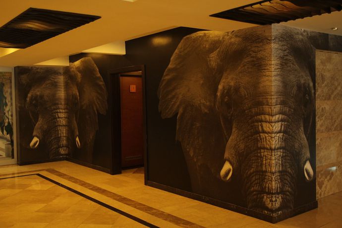 Imagen de la habitación del Hotel Arya Business Deluxe. Foto 16