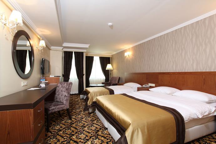 Imagen general del Hotel Arya Business Deluxe. Foto 1